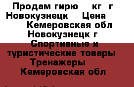 Продам гирю 24 кг. г. Новокузнецк. › Цена ­ 1 250 - Кемеровская обл., Новокузнецк г. Спортивные и туристические товары » Тренажеры   . Кемеровская обл.